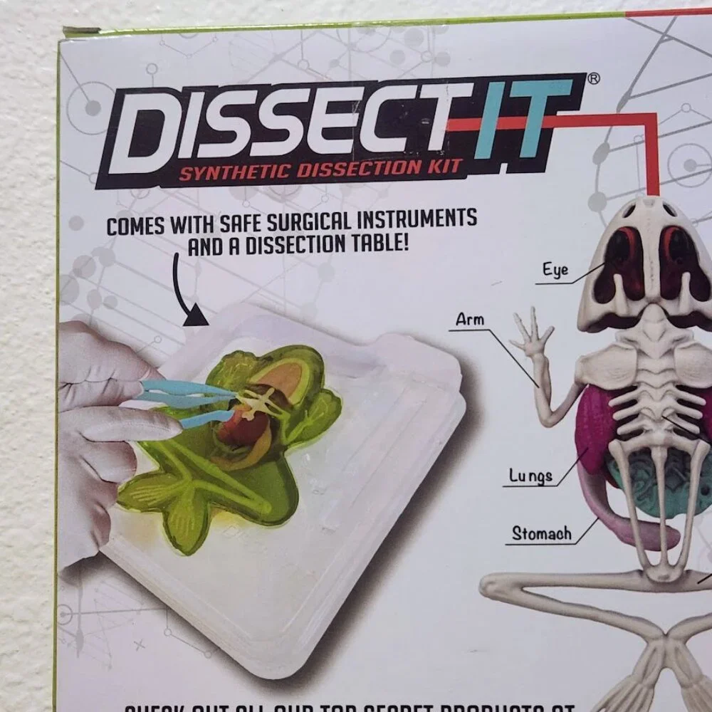 NEW Dissect-it Synthetic Lab Dissection Toy STEM KIT CRAFT Project Frog Biology